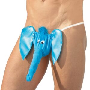 String Jan