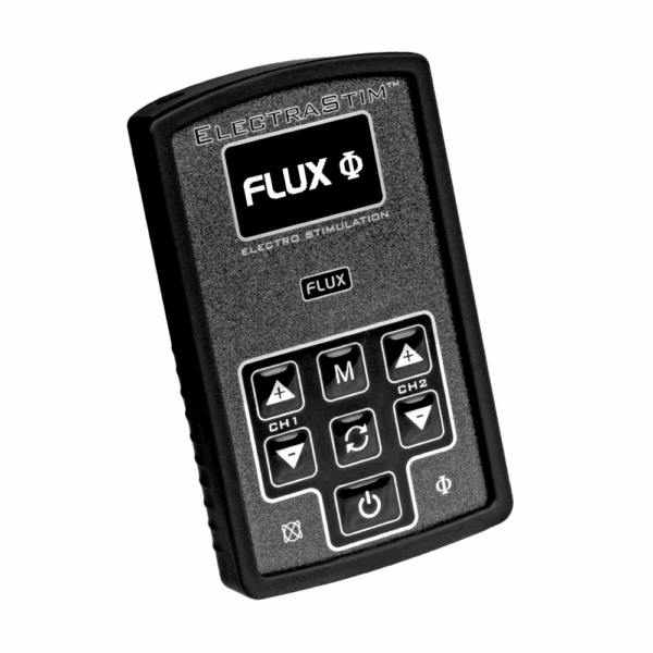 ElectraStim FLUX Steuereinheit