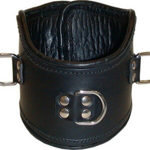 Leder Positionierunshalsfessel mit D Ringe