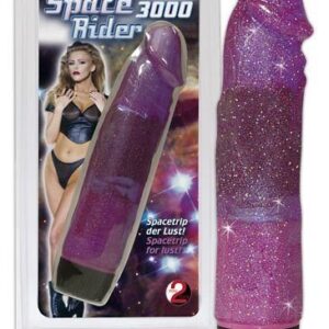 Space Rider 3000