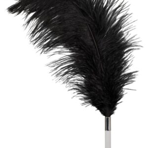 Federstab mit Plexiglas-Griff Bad Kitty Schwarz