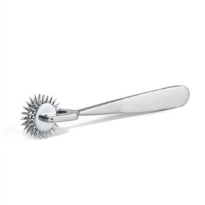 Nadelrad Pinwheel „Three“