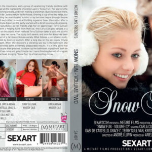 Snow Fun 2