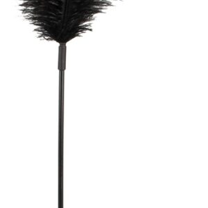 Langer Federstab Bad Kitty Schwarz