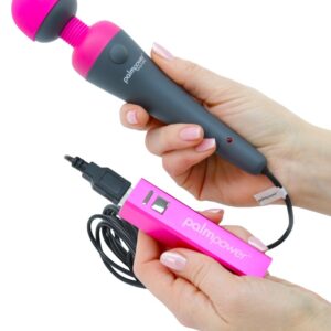 Palmpower Plug & Play Massagestab plus Powerbank Grau