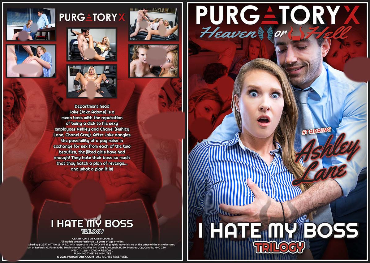 I Hate My Boss 1 I Hate My Boss