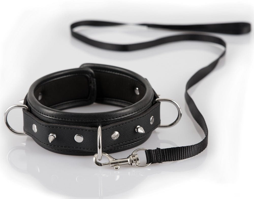 halsband mit spikes und leine 1152607818