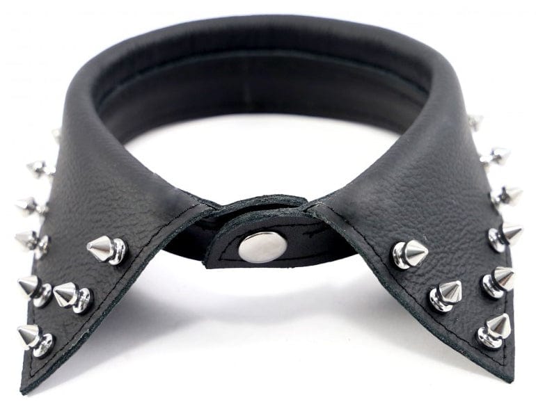 lederkragen spikes 1152605071