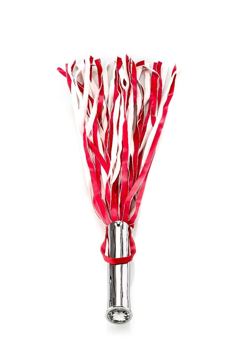 Peitsche mit Analplug 1 Peitsche mit Analplug