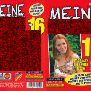 Meine Fotze 16