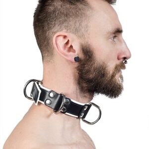 Halsfessel 4 D Ringen White