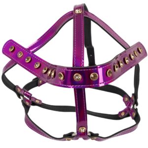 Kopfgeschirr Stressnieten