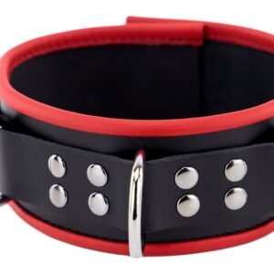 Lederhalsband D-Ring