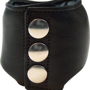 MisterB Hodengewicht 0,5 Kg