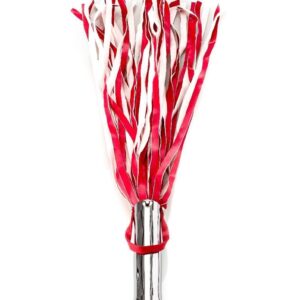 Peitsche mit Analplug