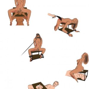 Multifunktionaler Sexhocker mit viel Zubehör Einzelstück