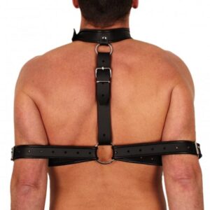 Hals- und Armfessel Bondage