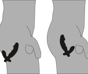 Realistischer Prostata-Massager