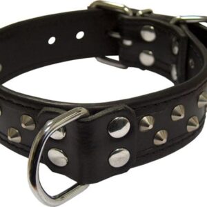 MisterB Sklavenhalsband