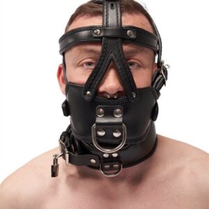 Leder Kopfgeschirr